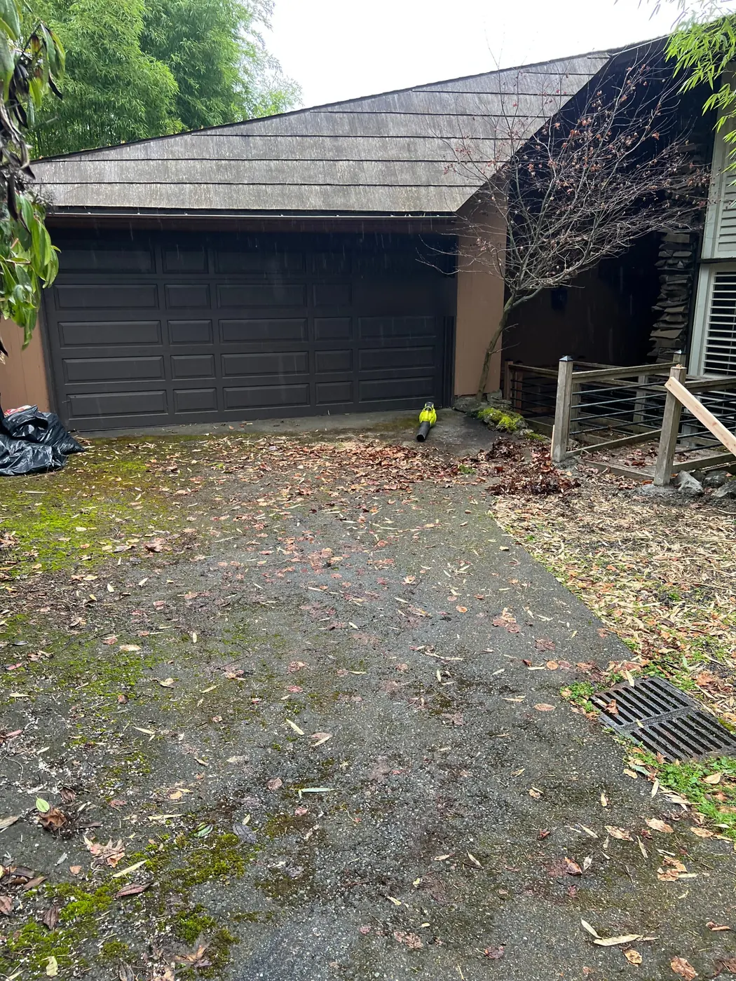 Driveway under bamboo before cleaning