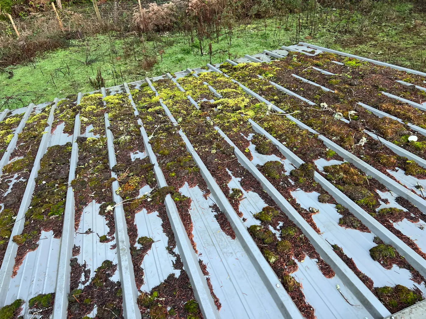 Roof cleaning & moss removal