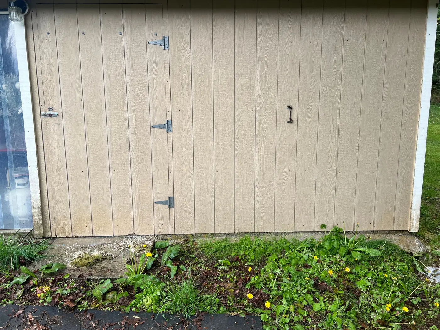 Painted siding after cleaning